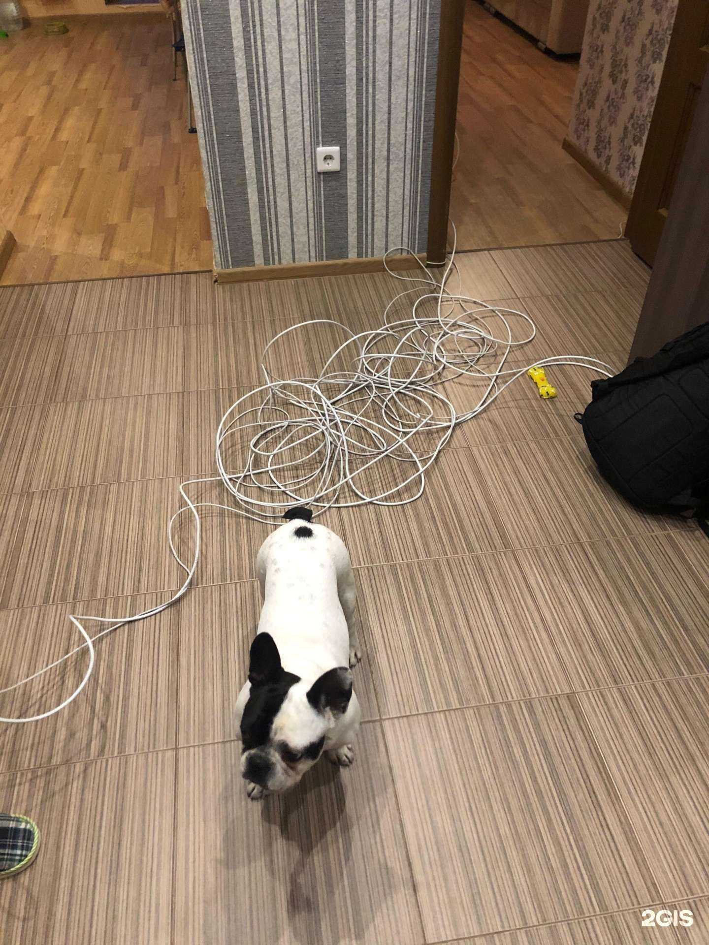 Отзывы на компанию МТС в г. Тюмень c фото