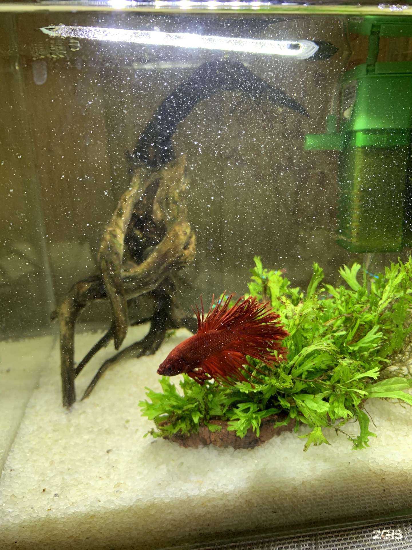 Отзывы на компанию Акватропик в Новосибирске c фото