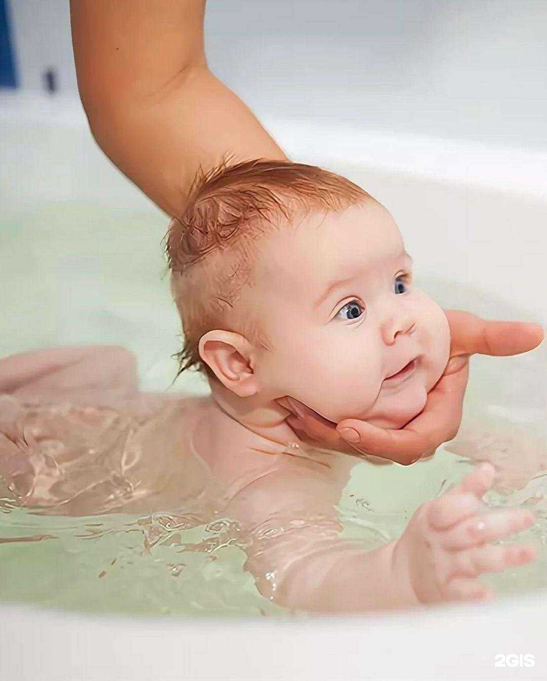 Отзывы на компанию Чемпион в Краснодаре c фото