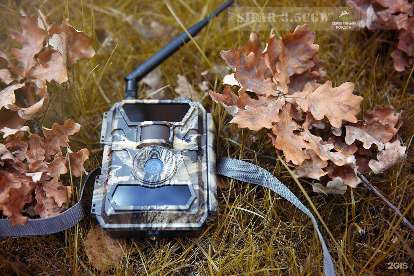 Отзывы на компанию Серебряный кордон в г. Долгопрудный c фото