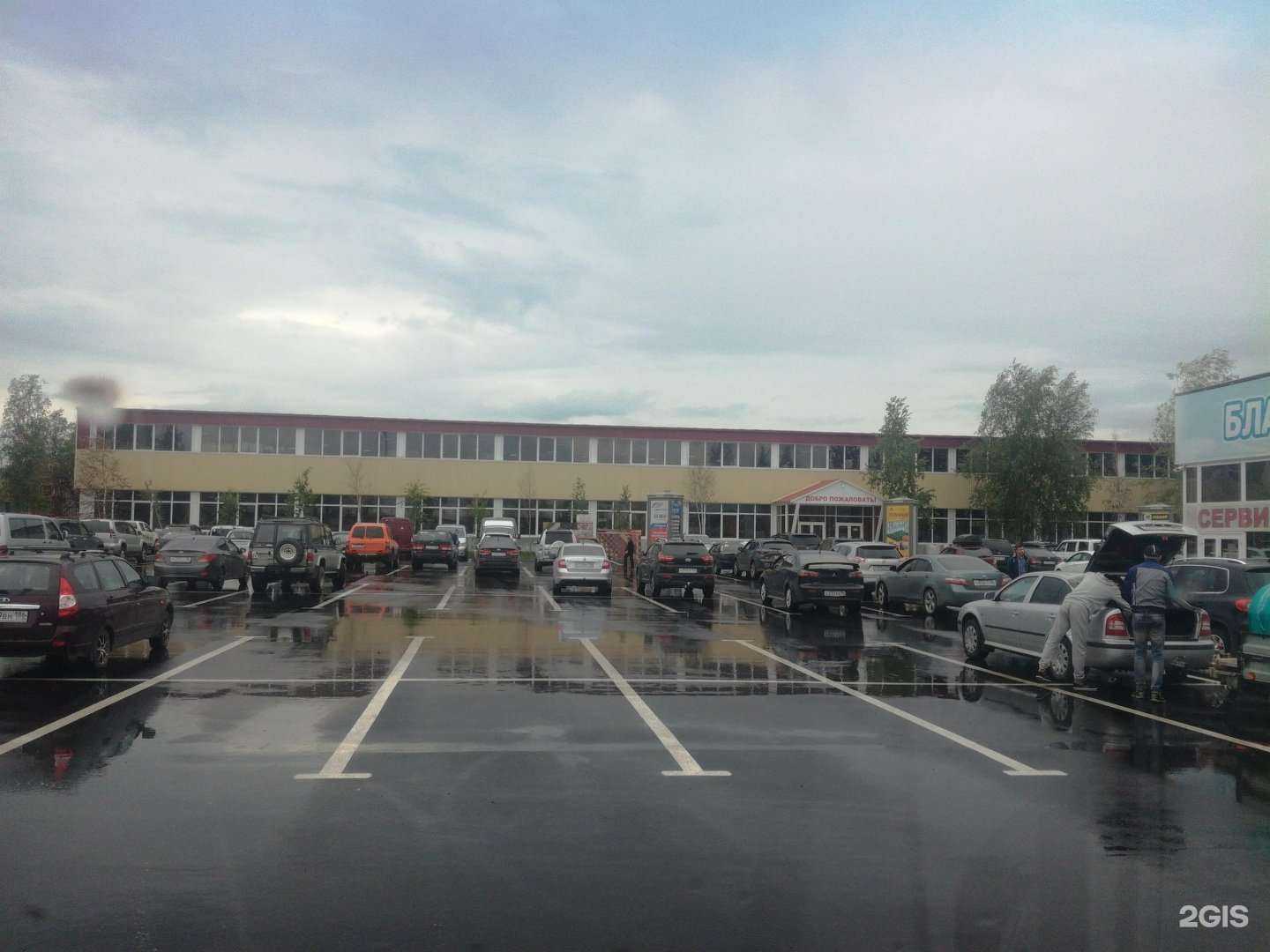 Отзывы на компанию Сургутский программный сервис в г. Сургут c фото