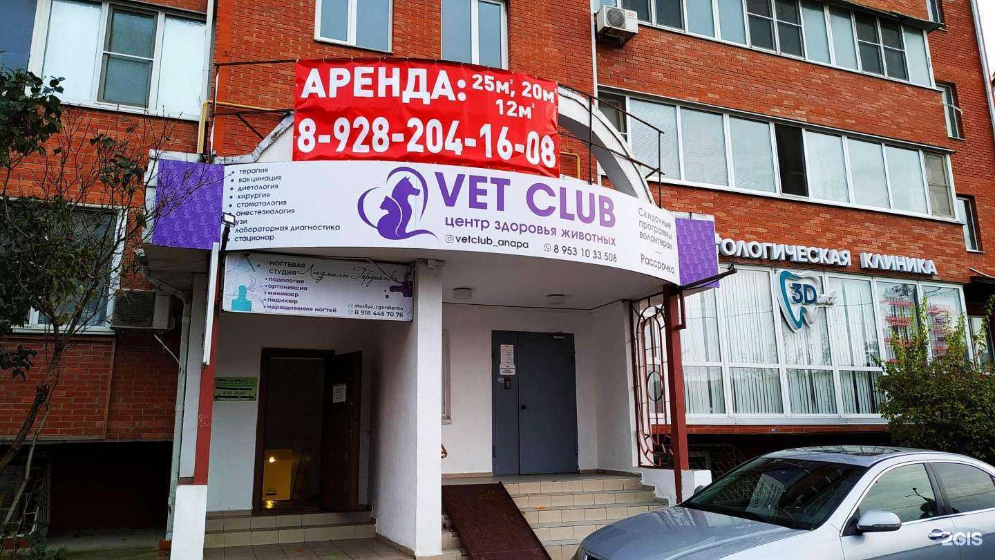 Отзывы на компанию New Style в Анапе c фото