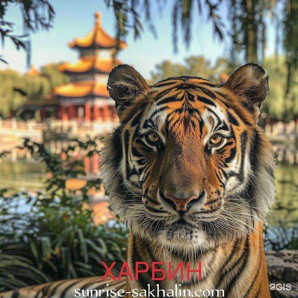 Отзывы на компанию Санрайз-тур в г. Южно-Сахалинск c фото
