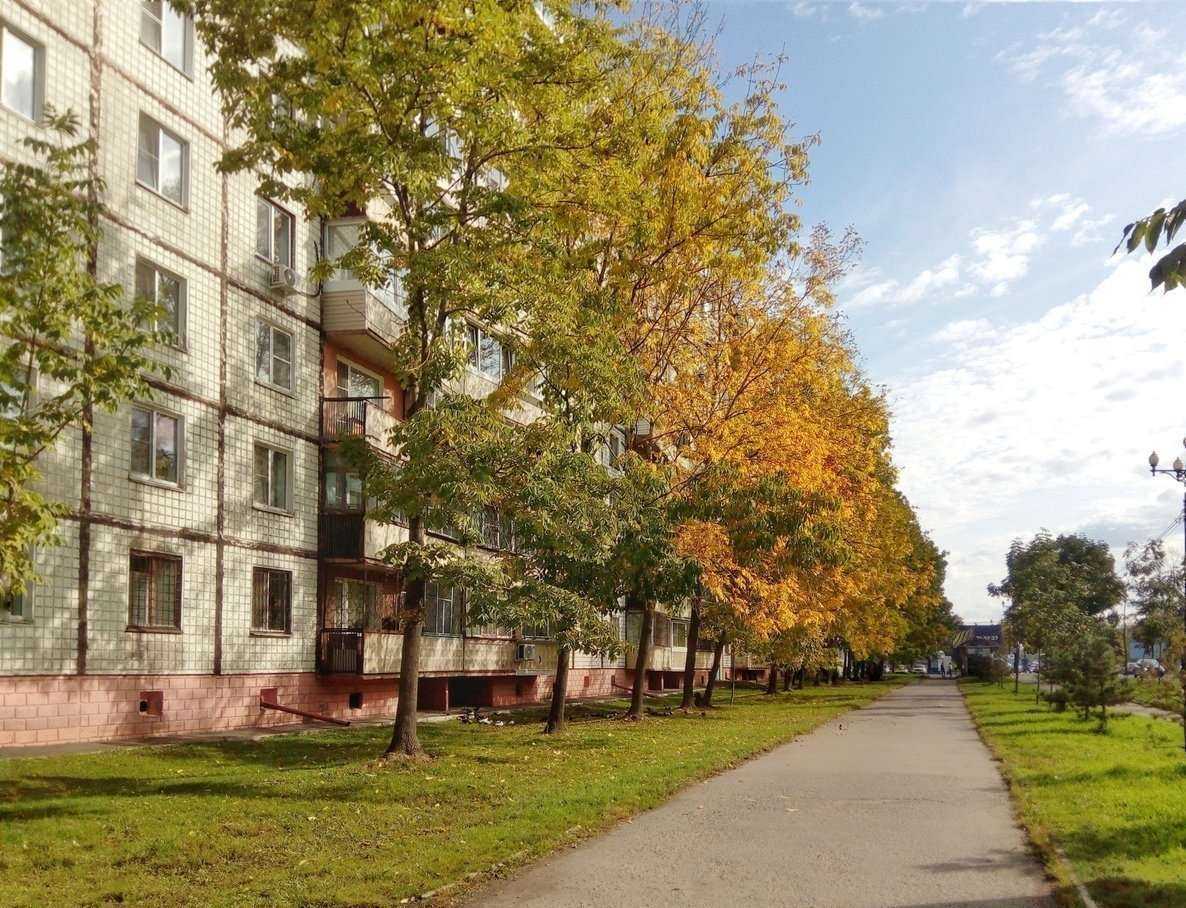 Отзывы на компанию Семейная аптека в Хабаровске c фото - фотография 2 из 2