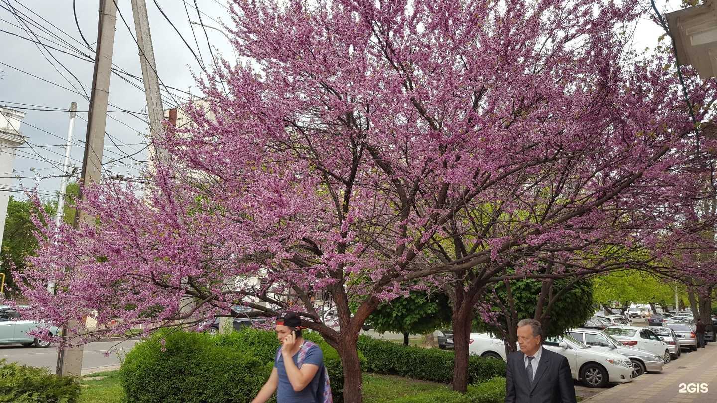 Отзывы на компанию Электроника в Ставрополе c фото - фотография 2 из 2