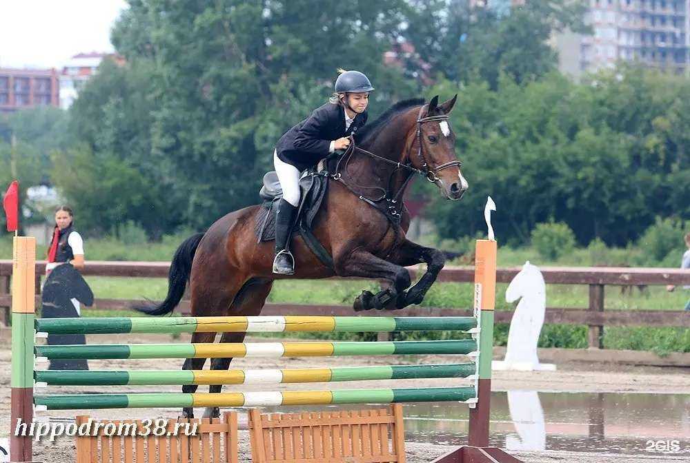 Отзывы на компанию Байкал в г. Иркутск c фото