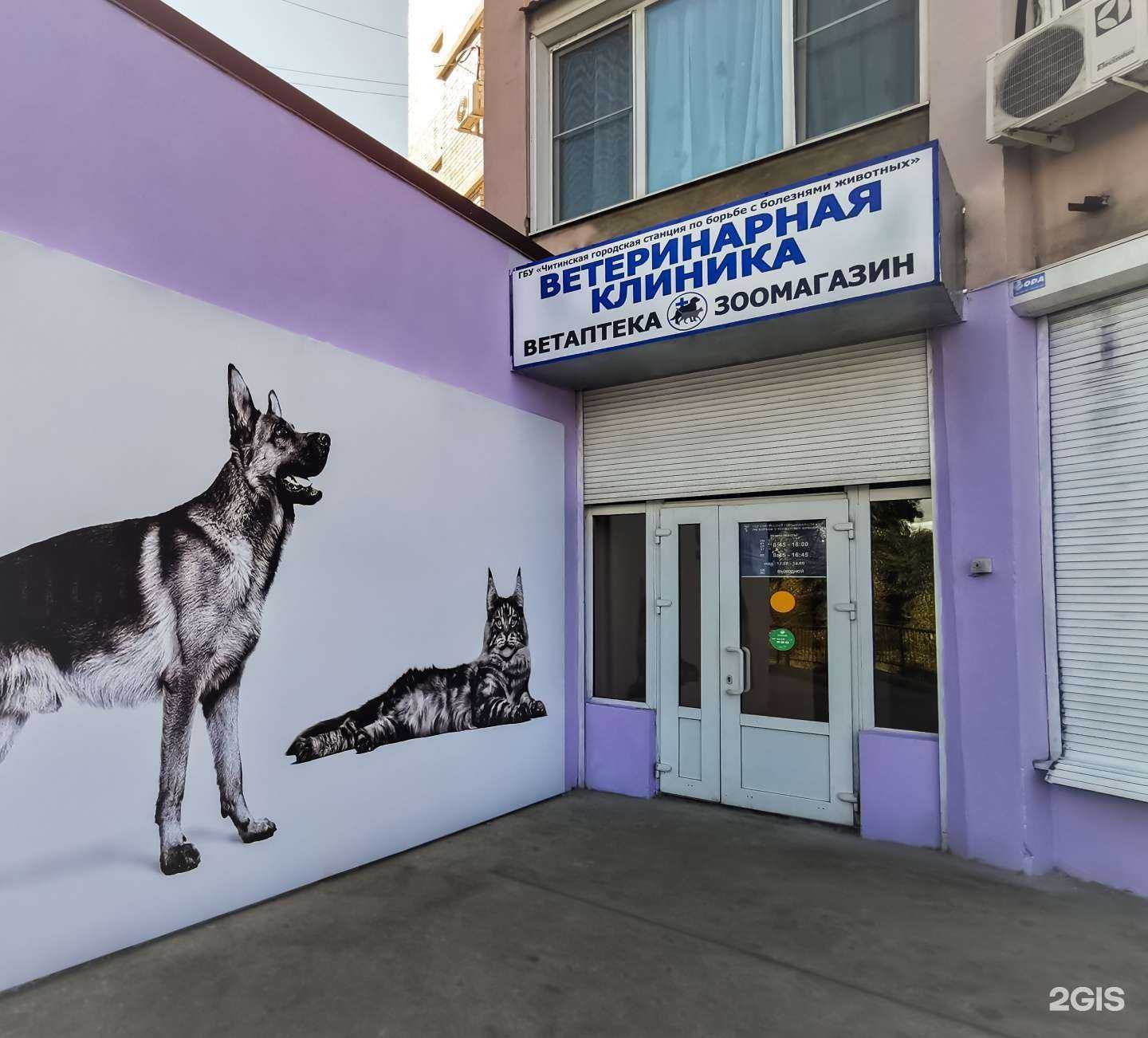 Отзывы на компанию Читинская городская станция по борьбе с болезнями животных в Чите c фото