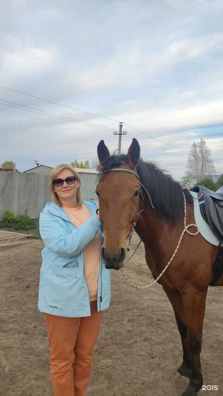 Отзывы на компанию Ласточка в г. Тюмень c фото