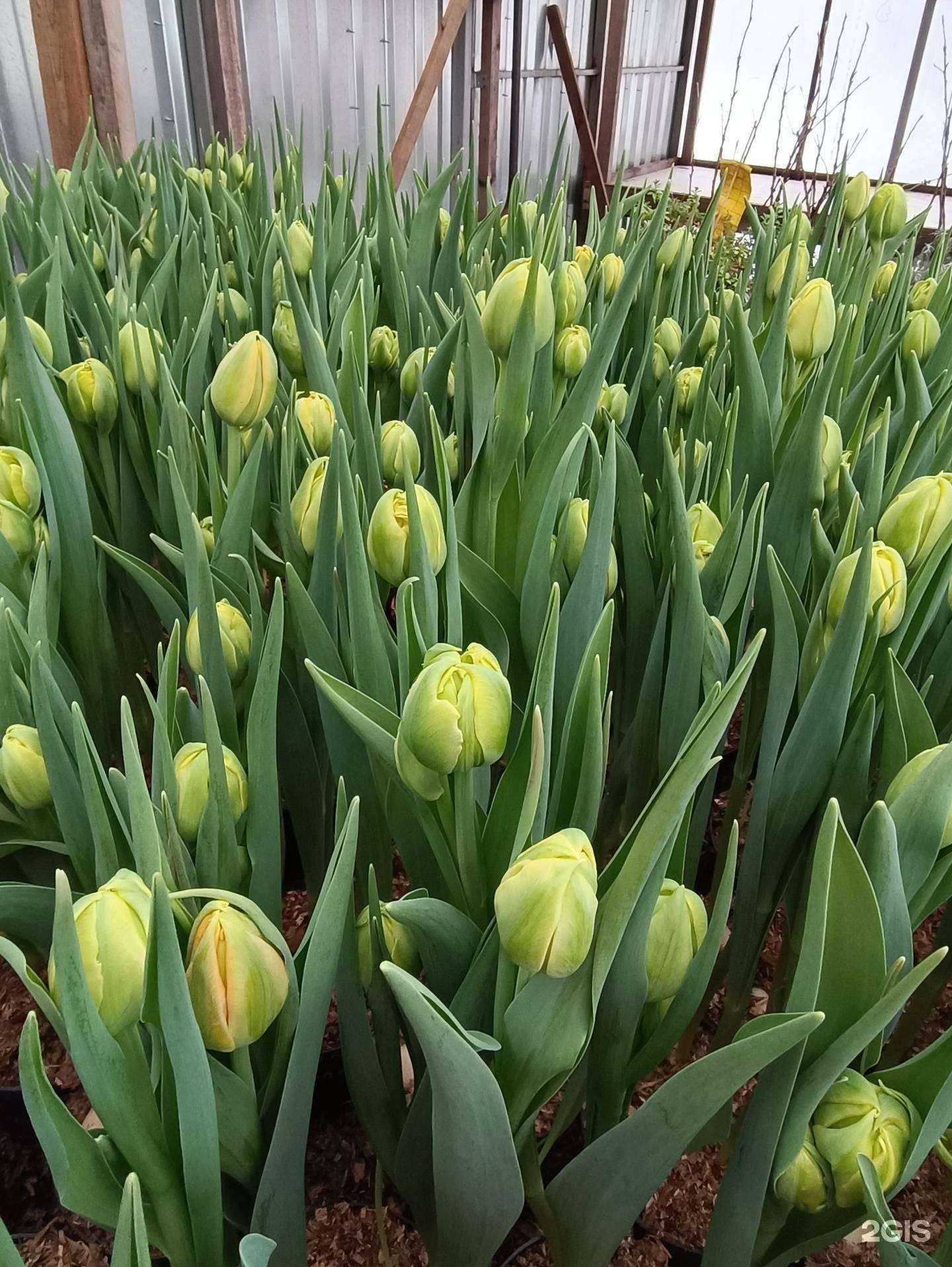 Отзывы на компанию Вернисаж в г. Красноярск c фото