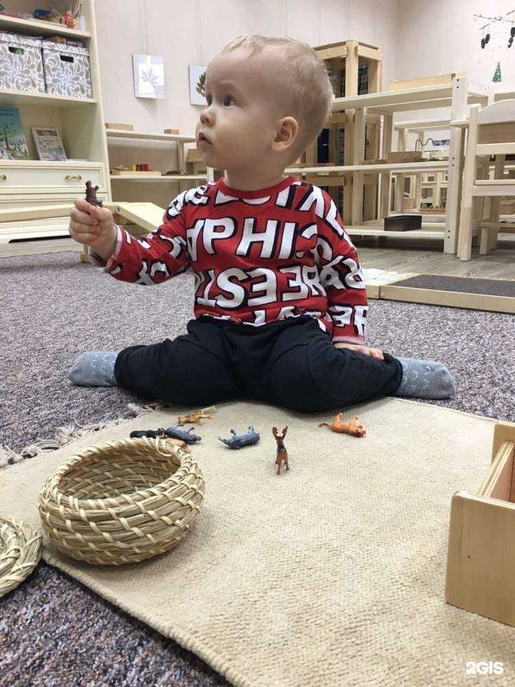 Отзывы на компанию Монтессори Зебра в Красноярске c фото