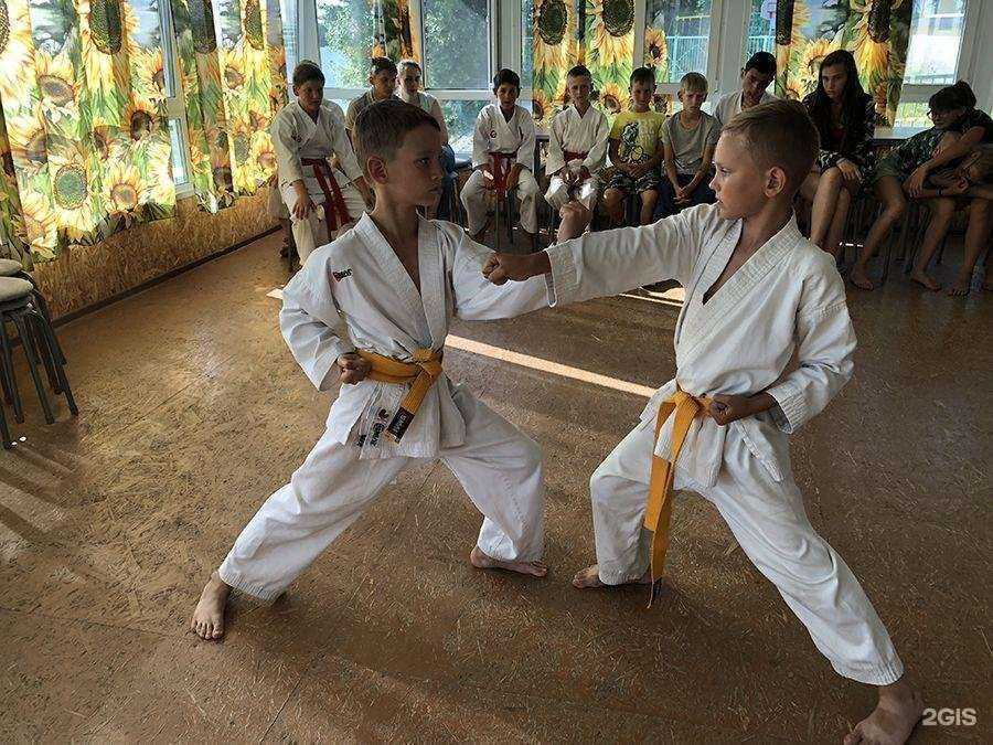 Отзывы на компанию ДЮСШ единоборств в Томске c фото