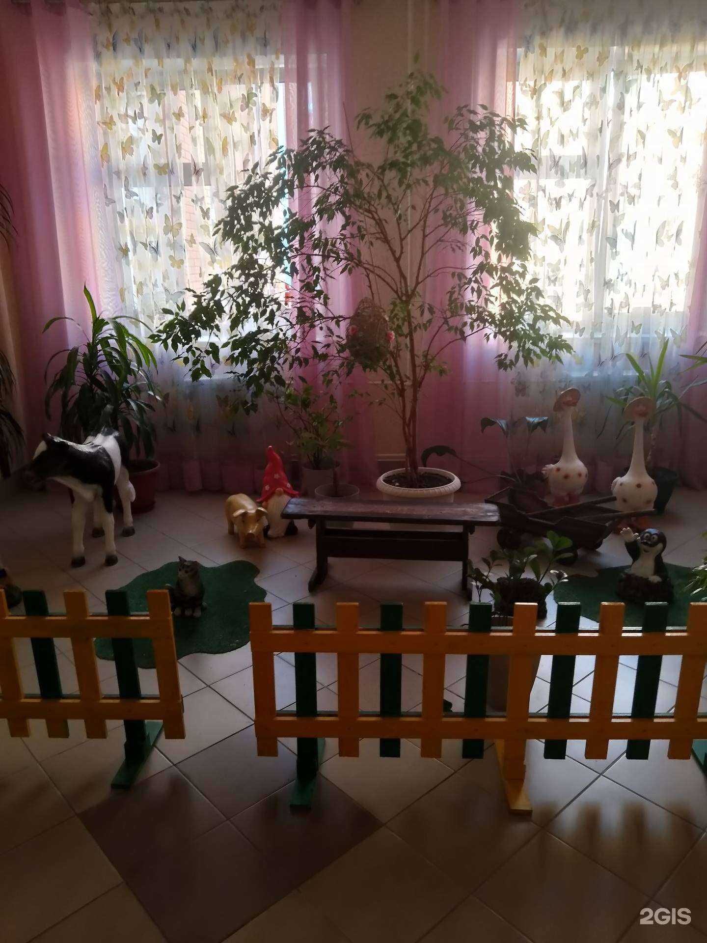 Отзывы на компанию Детский сад №54 в г. Новосибирск c фото