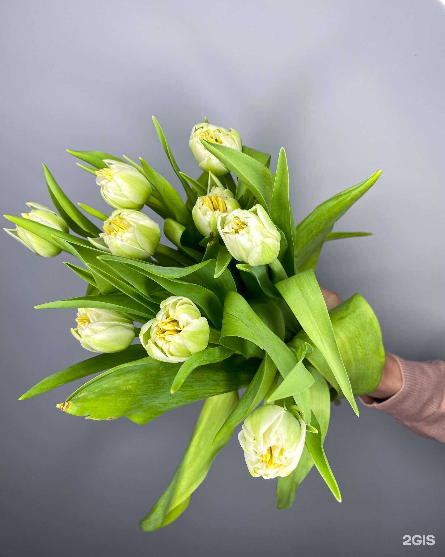 Отзывы на компанию Цветочная компания в Барнауле c фото