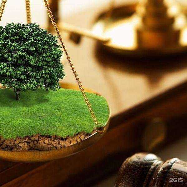 Отзывы на компанию На Князева в г. Кострома c фото