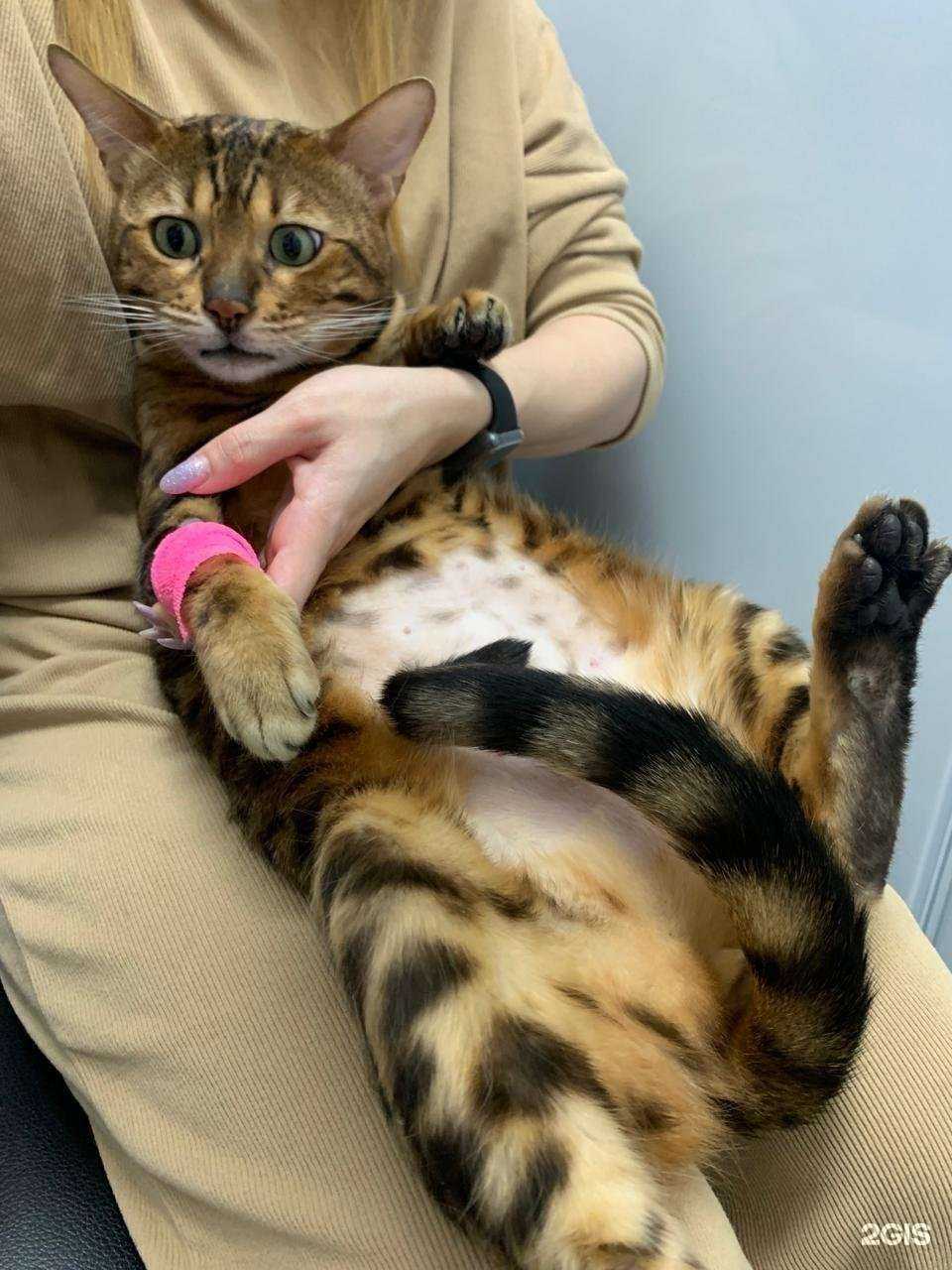 Отзывы на компанию Слон в г. Краснодар c фото