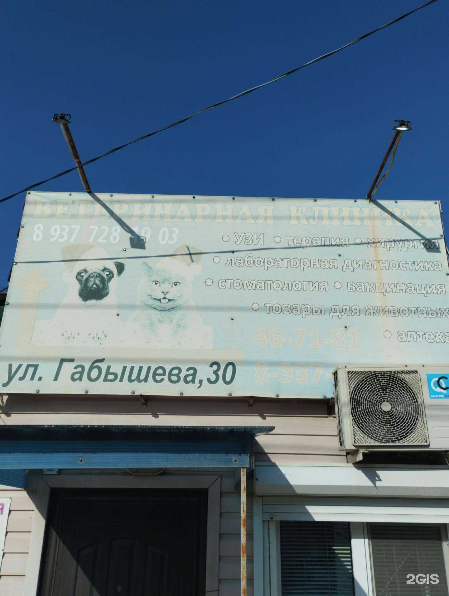 Отзывы на компанию Ветеринарная клиника в Волгограде c фото