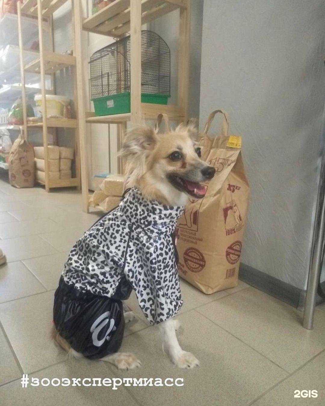 Отзывы на компанию Зооэксперт в г. Миасс c фото