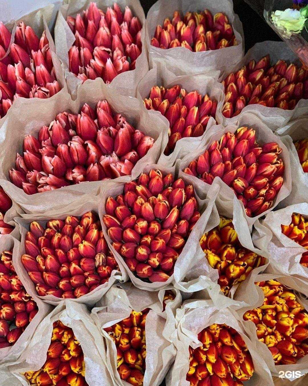 Отзывы на компанию Меркурий в Прокопьевске c фото