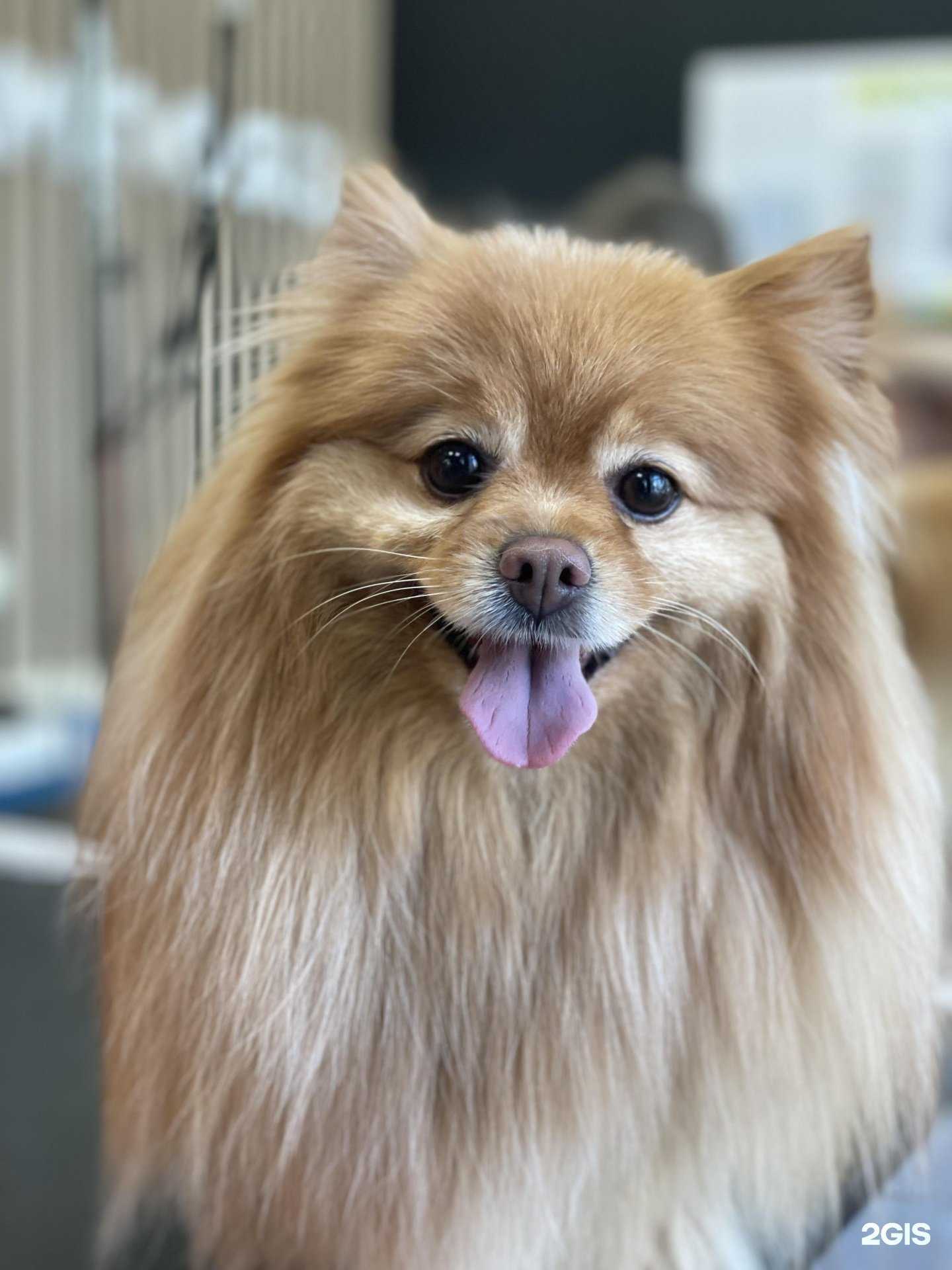 Отзывы на компанию GROOM в г. Екатеринбург c фото