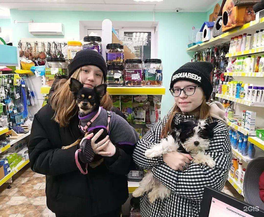 Отзывы на компанию Зоосервис в г. Чебоксары c фото