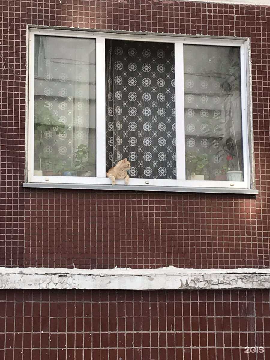 Отзывы на компанию 888pizza в Новосибирске c фото - фотография 2 из 2