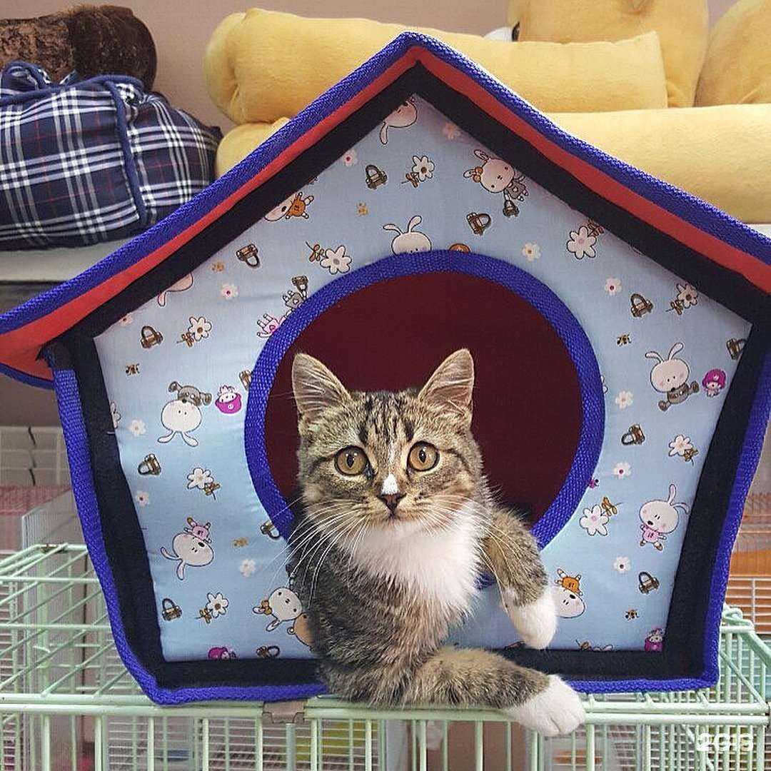 Отзывы на компанию Дружок в Оренбурге c фото