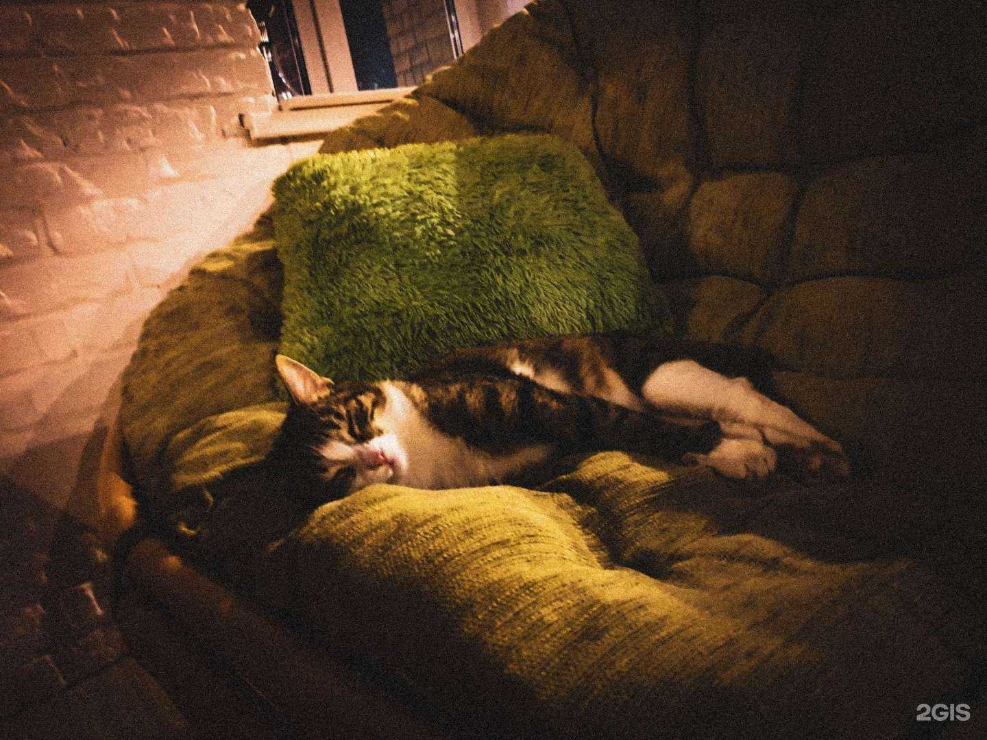 Отзывы на компанию Дом мастера в Владивостоке c фото