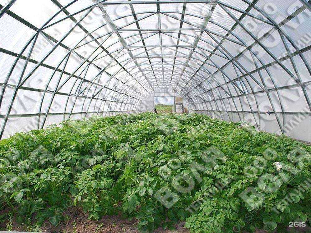 Отзывы на компанию Загород.шоп в г. Пермь c фото