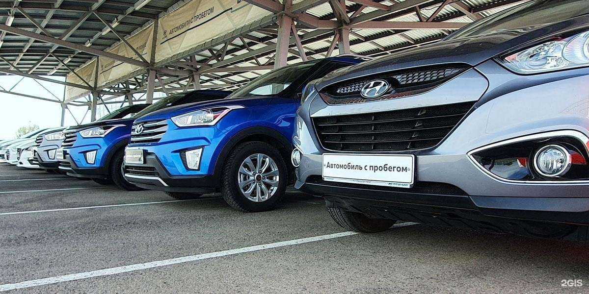 Отзывы на компанию Медведь в г. Абакан c фото