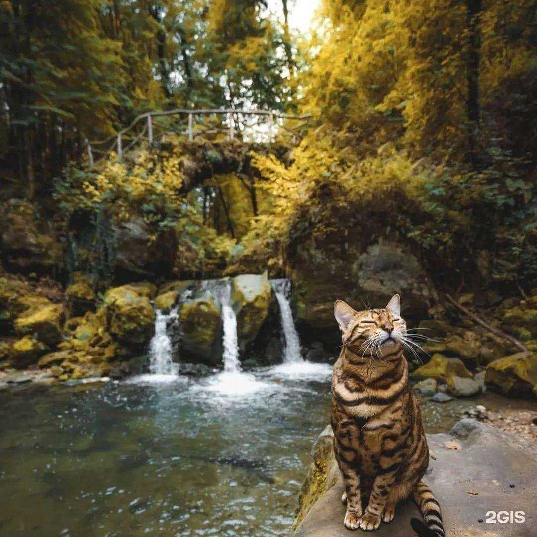 Отзывы на компанию Реставрация воды в г. Батайск c фото