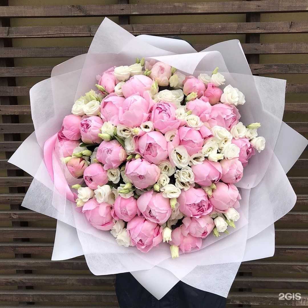 Отзывы на компанию Gflow.Shop в г. Сочи c фото