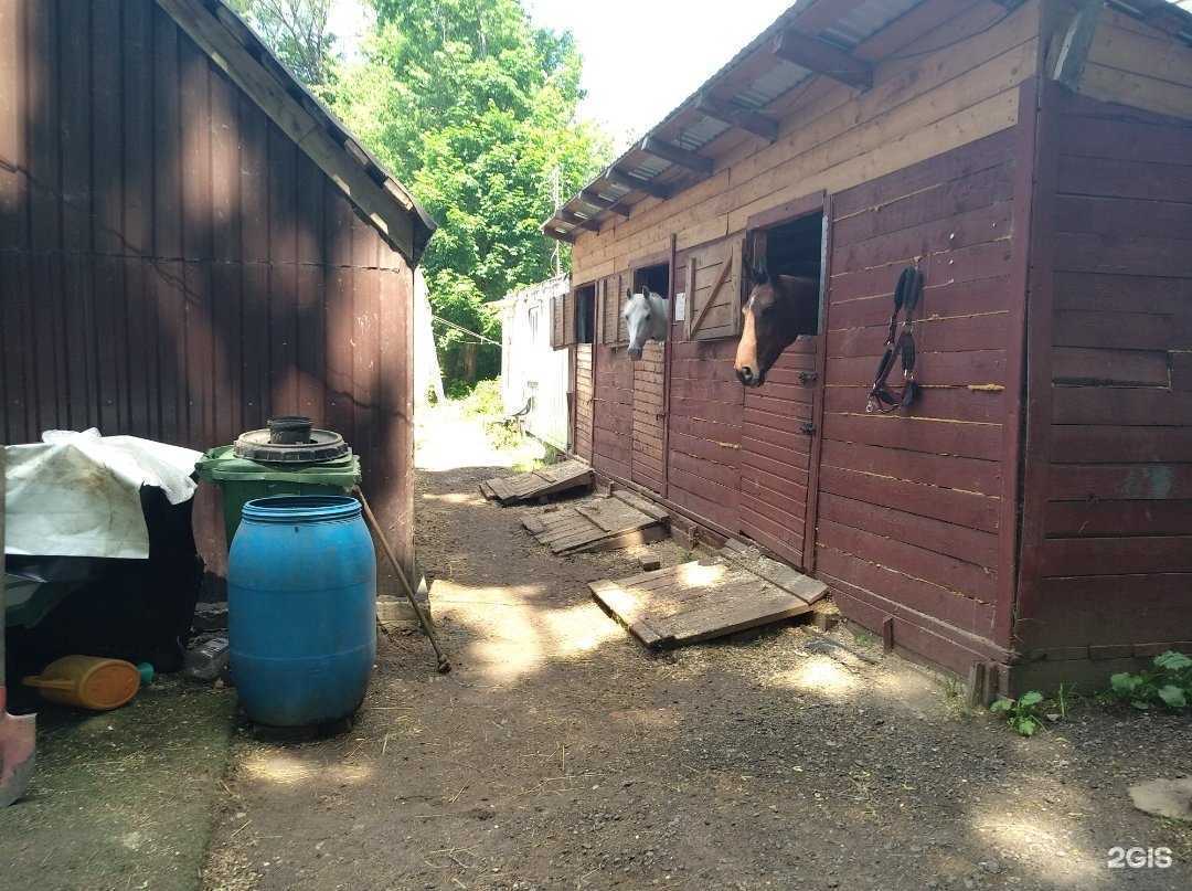 Отзывы на компанию Преображение в г. Балашиха c фото