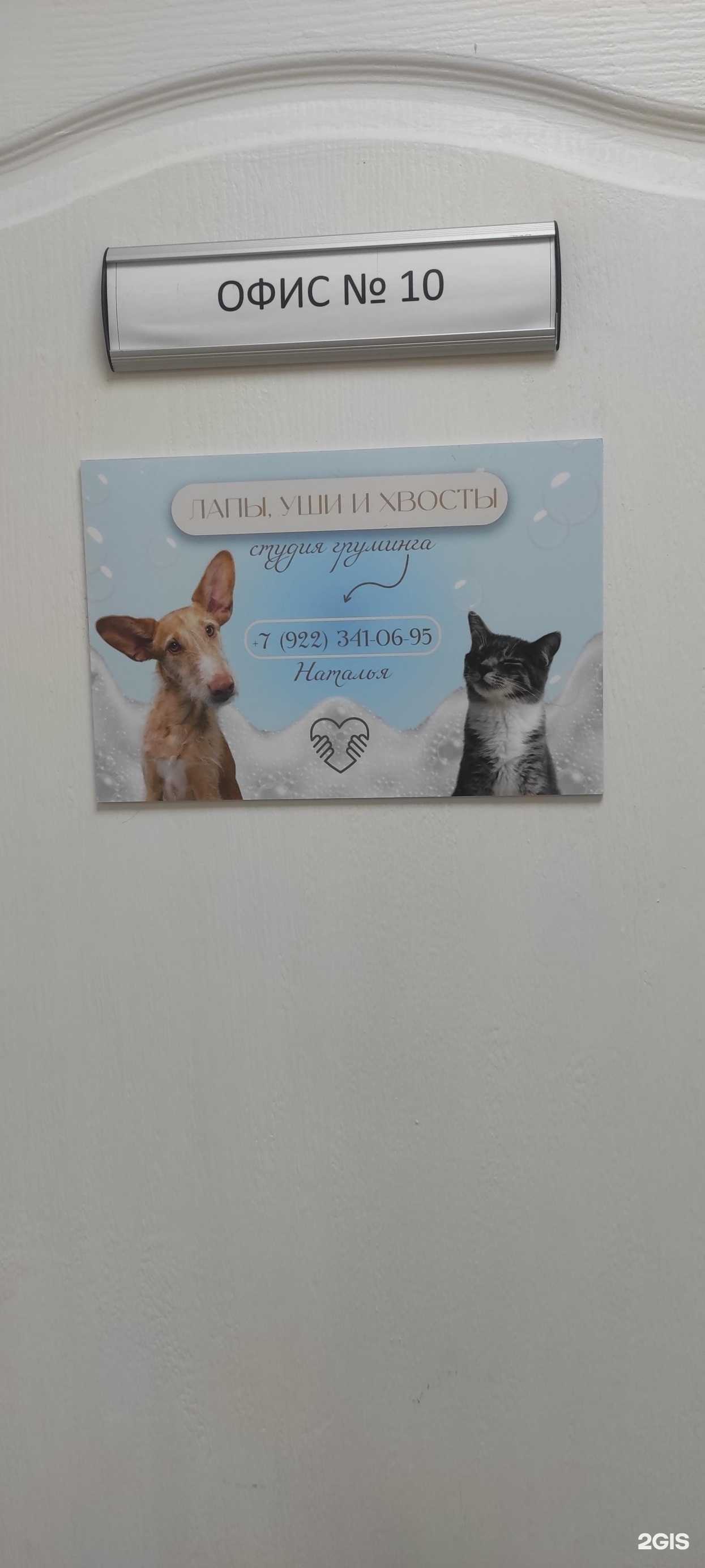 Отзывы на компанию Лапы, уши и хвосты в Перми c фото