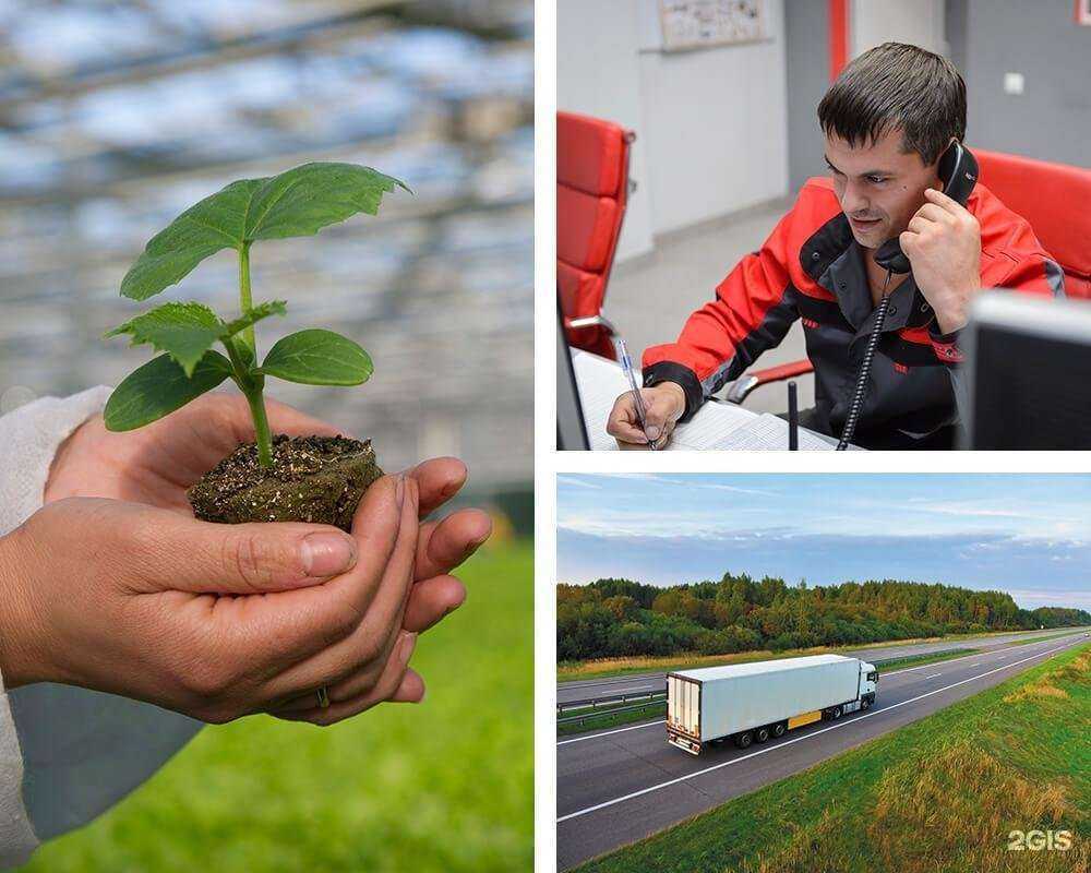 Отзывы на компанию Speland в г. Рязань c фото