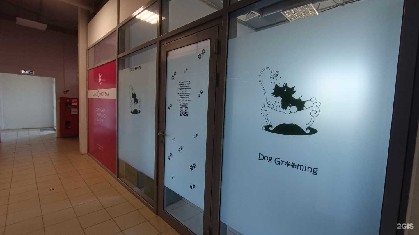 Отзывы на компанию Лапки в порядке в г. Дубна c фото