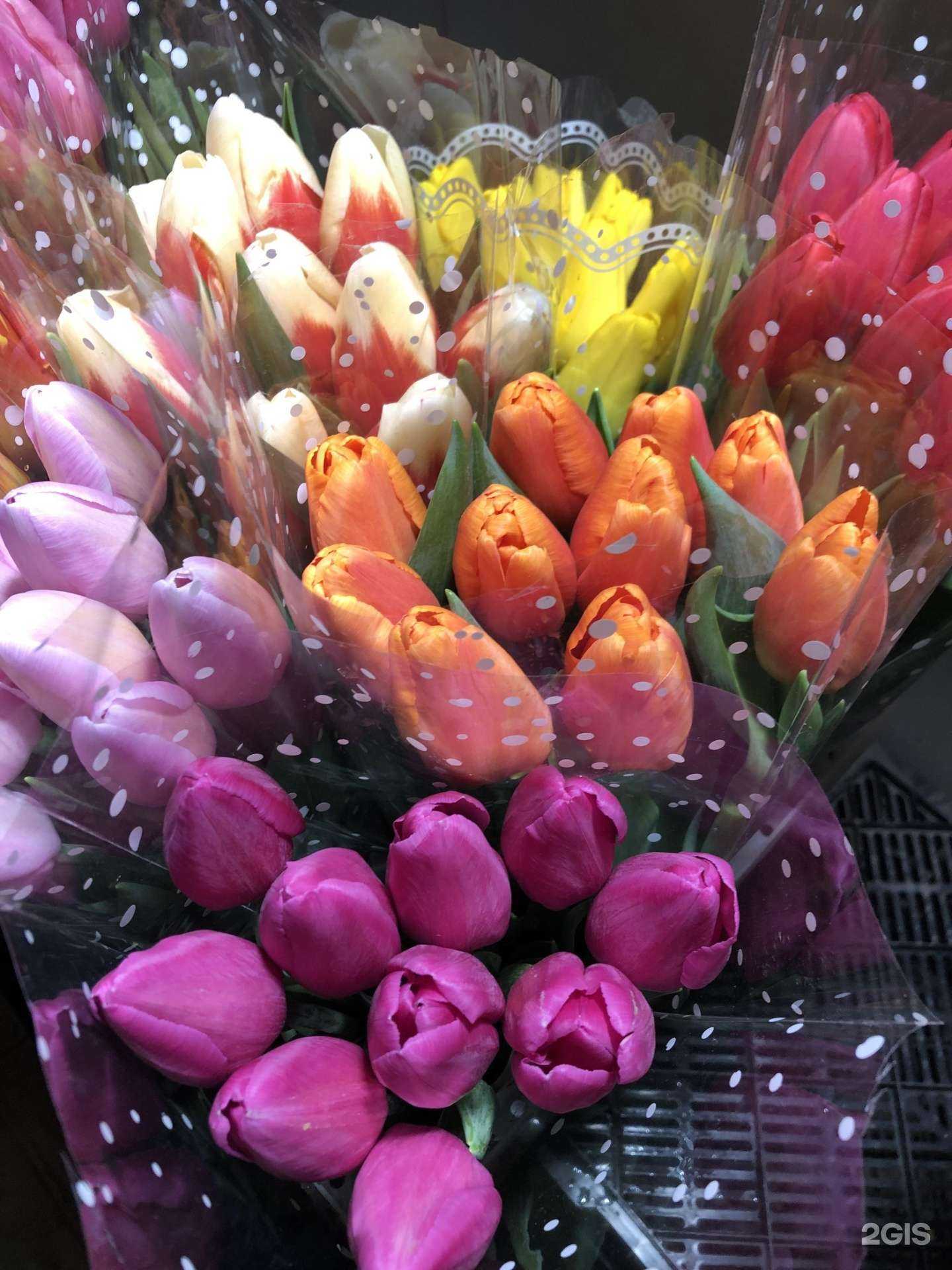 Отзывы на компанию Весенняя флора в Новосибирске c фото