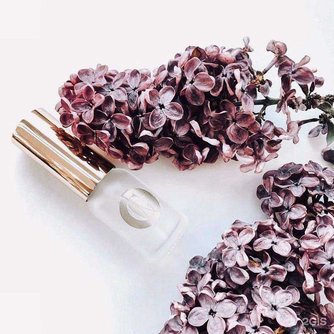 Отзывы на компанию Grasse в Тамбове c фото