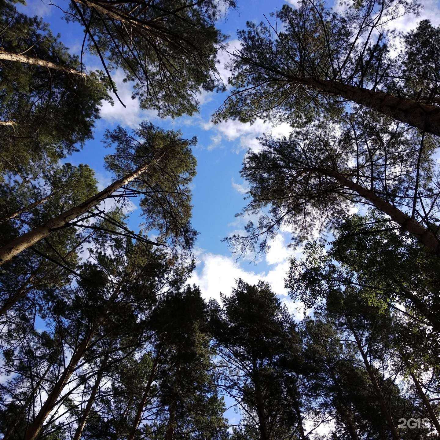 Отзывы на компанию Энергетик в г. Томск c фото