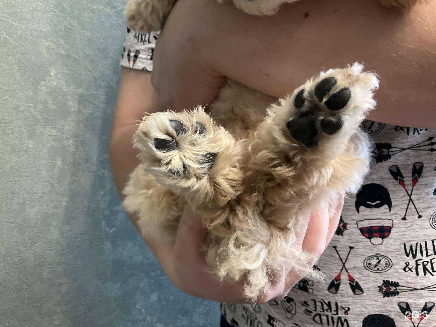 Отзывы на компанию Заповедник в Екатеринбурге c фото