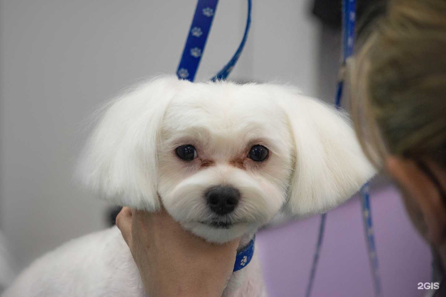 Отзывы на компанию Барселона в Магнитогорске c фото