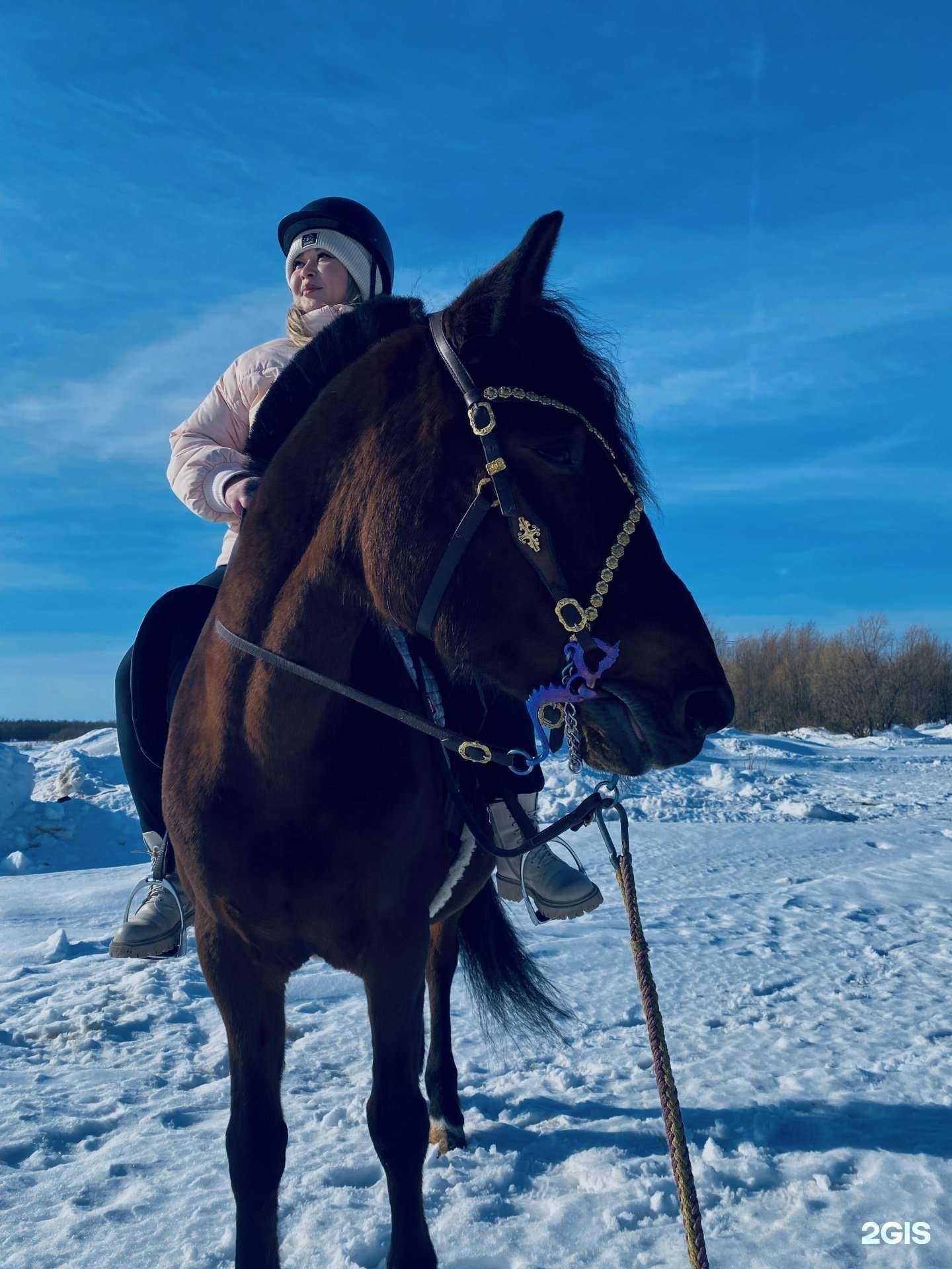 Отзывы на компанию Легенда в Нижневартовске c фото - фотография 2 из 2
