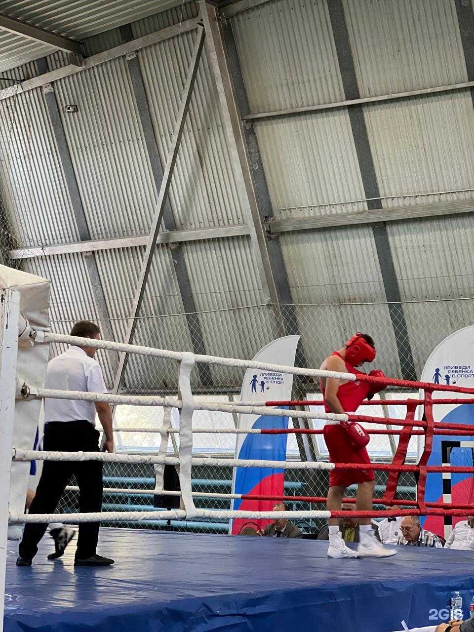 Отзывы на компанию Федерация бокса г. Саратова в Саратове c фото