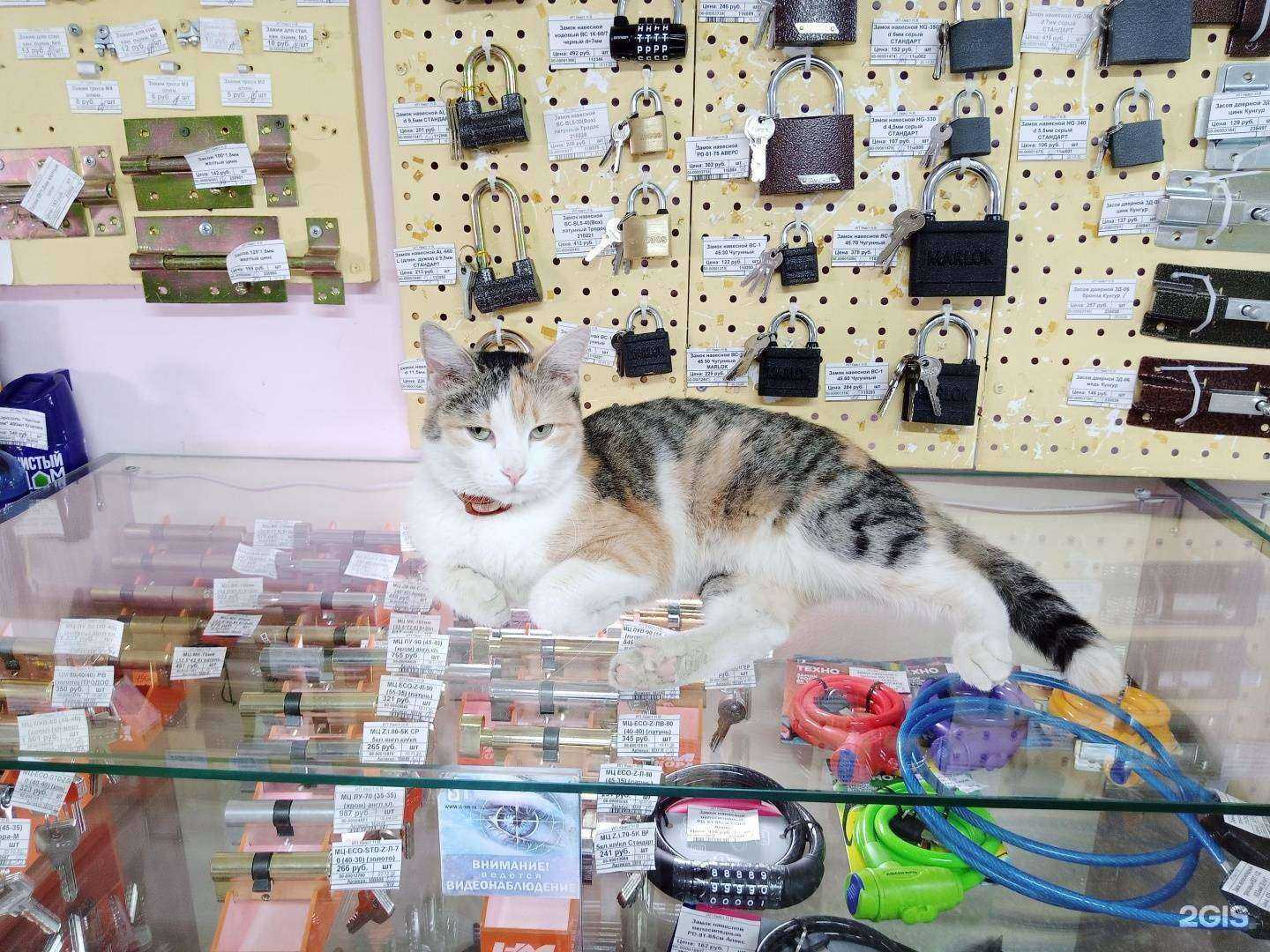 Отзывы на компанию СтройВекДом в г. Кемерово c фото