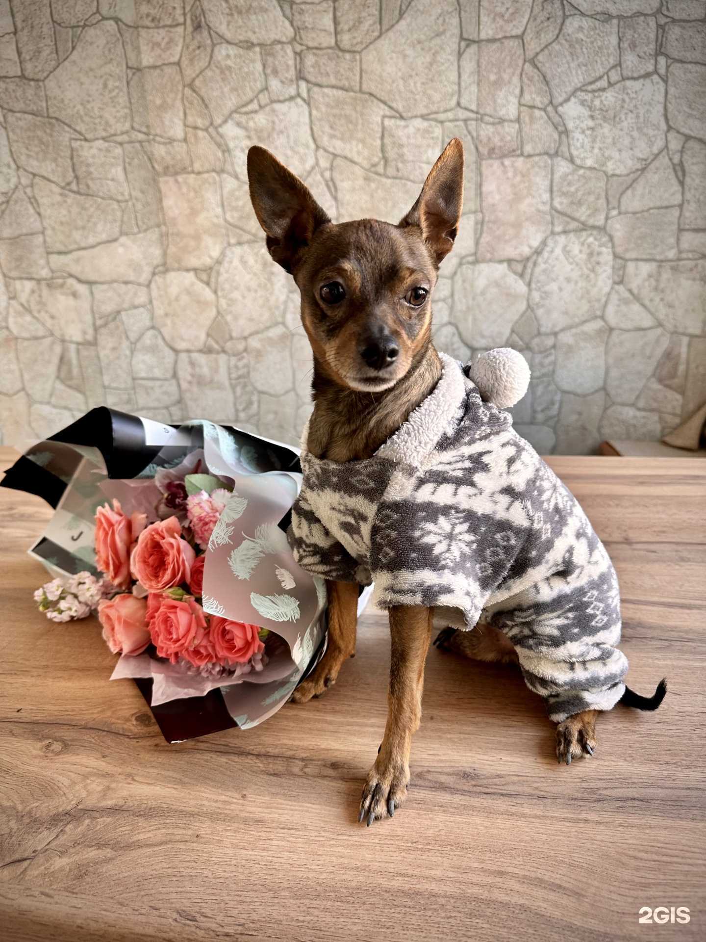 Отзывы на компанию Мята в г. Оренбург c фото