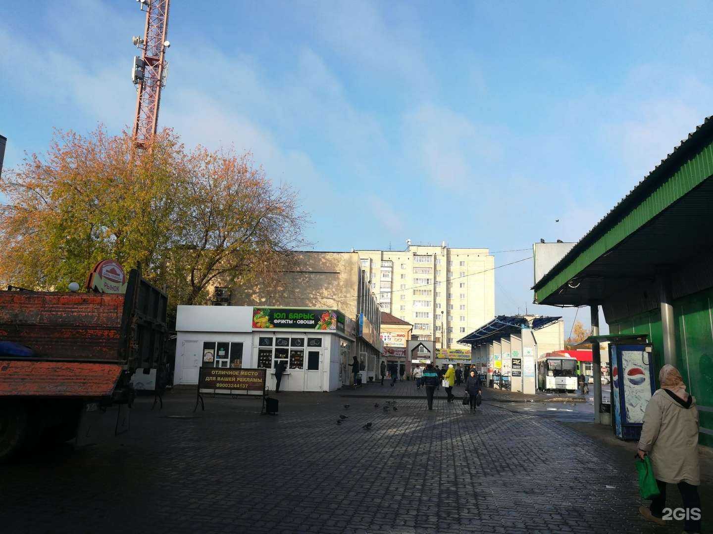 Отзывы на компанию Вита Экспресс в Зеленодольске c фото