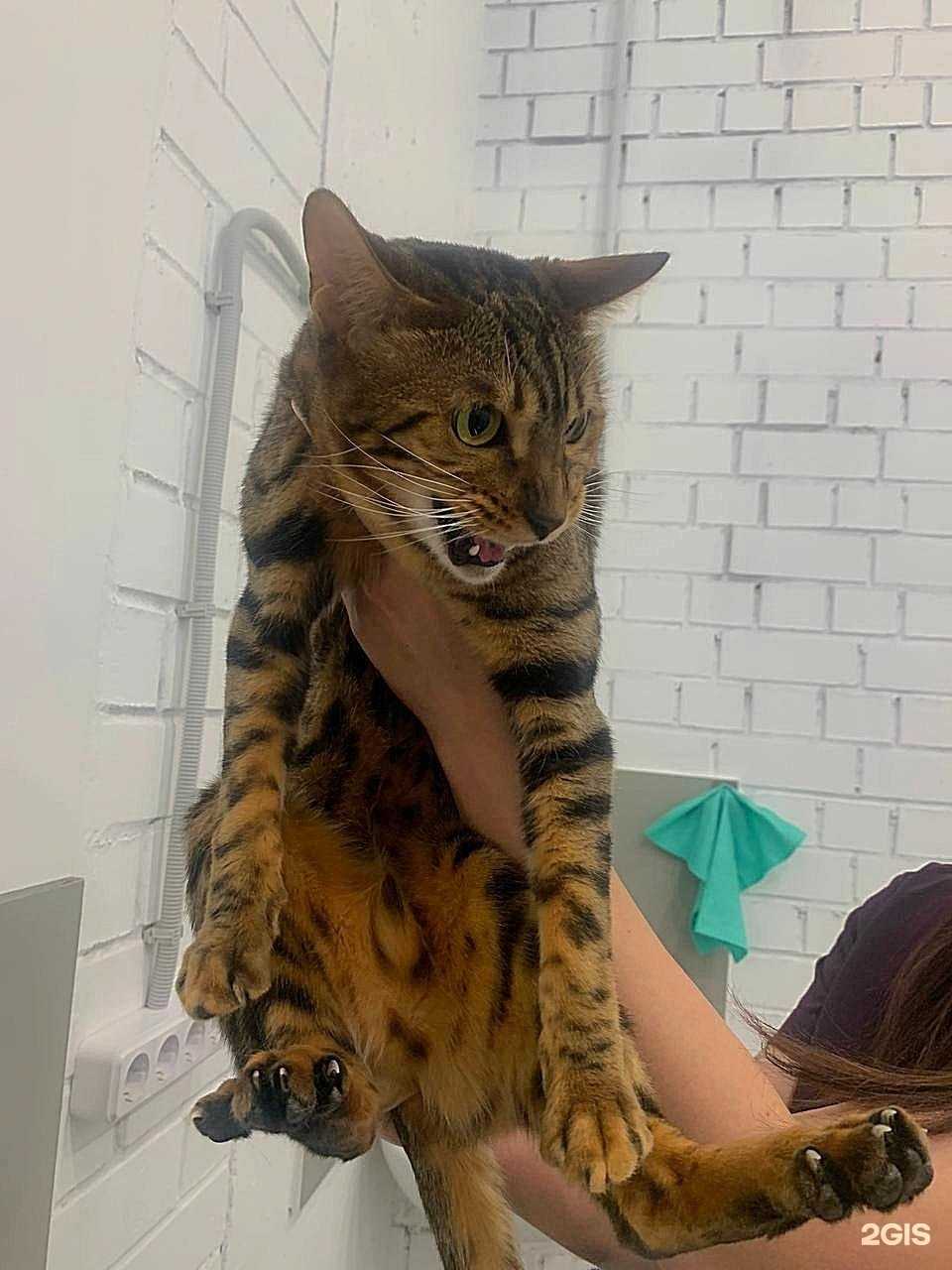 Отзывы на компанию Бобр в Челябинске c фото