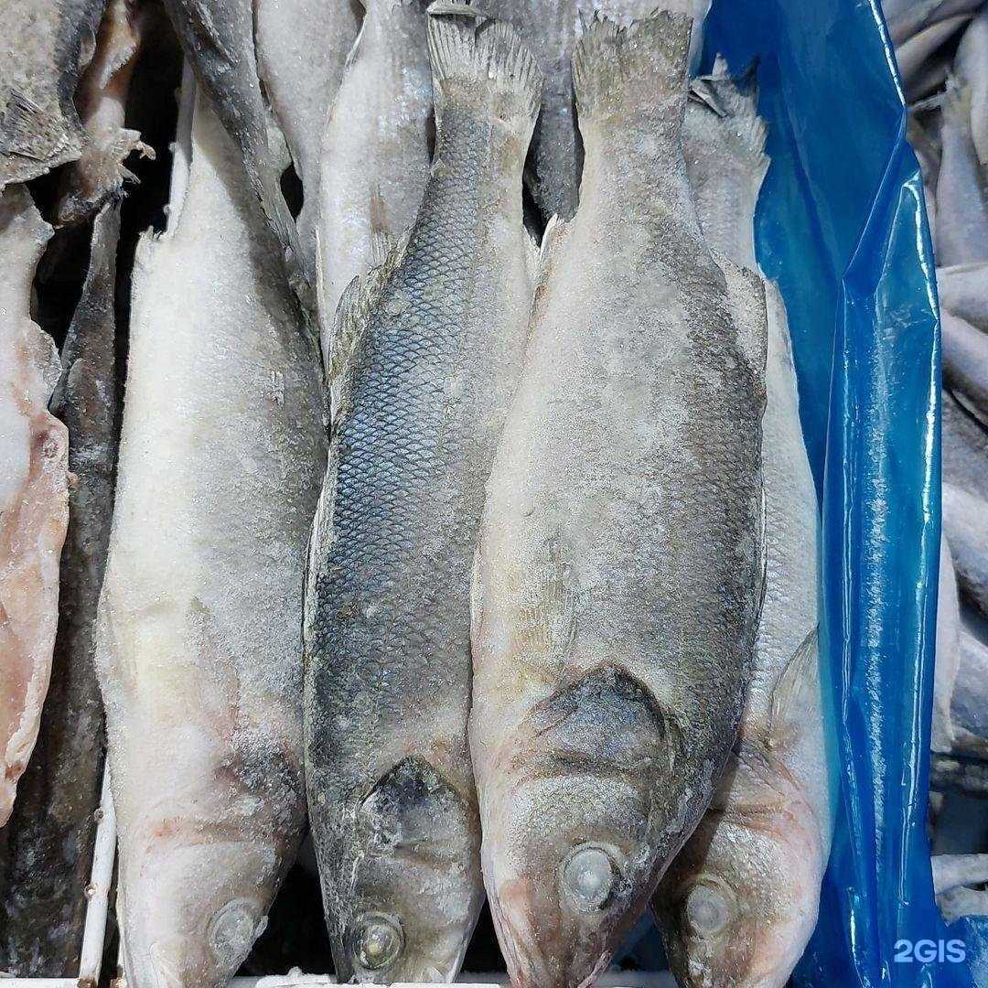 Отзывы на компанию Океан в г. Буйнакск c фото