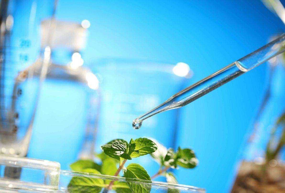 Отзывы на компанию Травы Башкирии в г. Уфа c фото