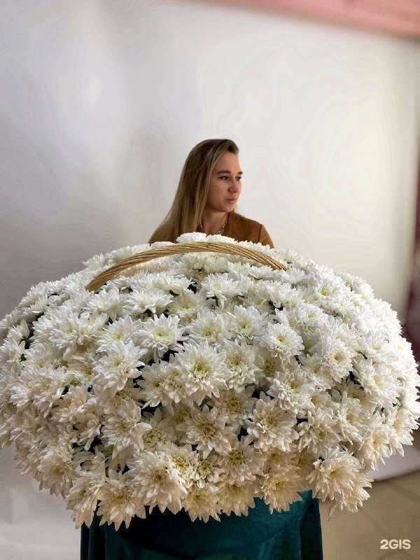 Отзывы на компанию Сакура в Уфе c фото