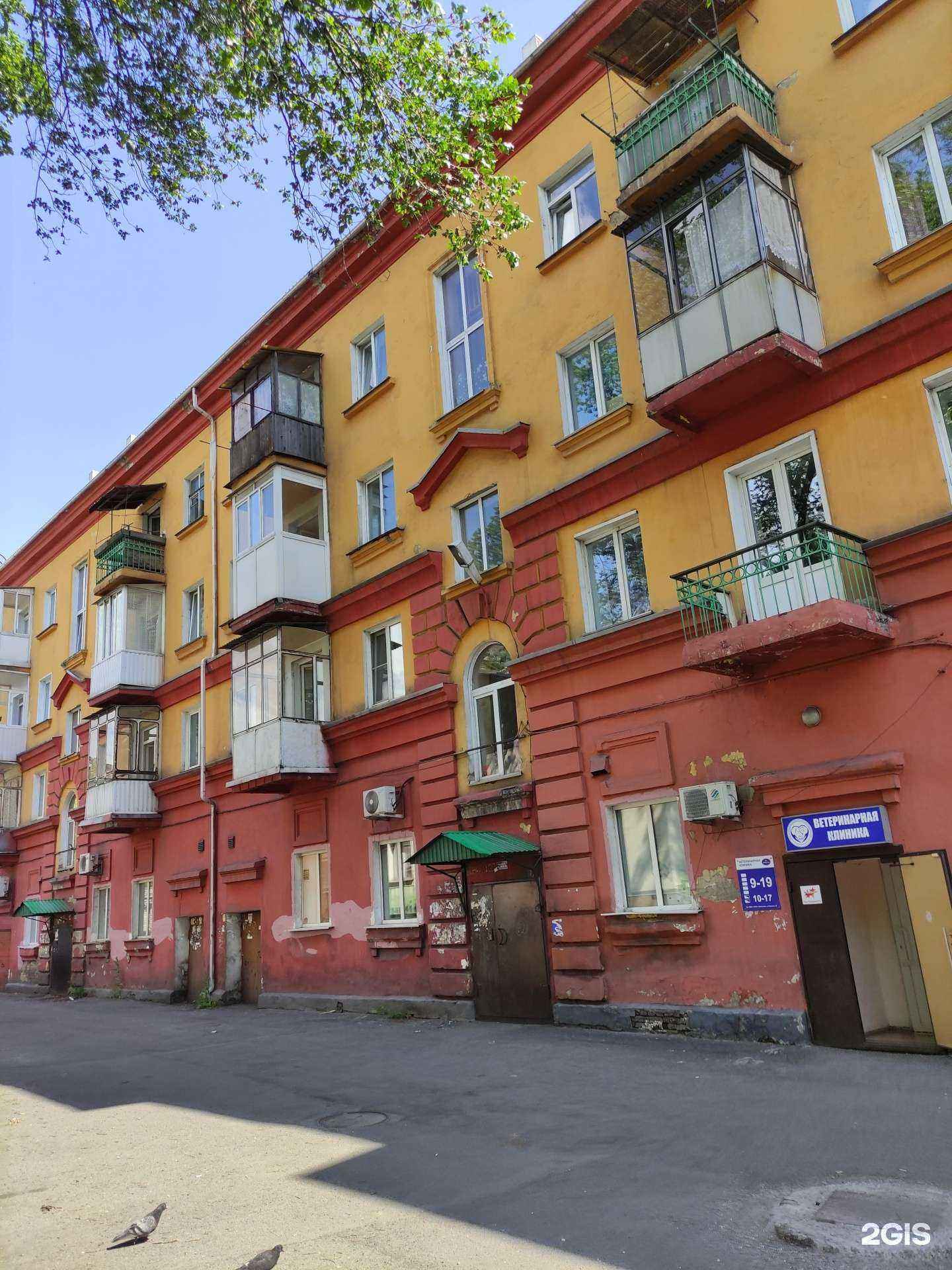 Отзывы на компанию Дары природы в Прокопьевске c фото - фотография 2 из 2